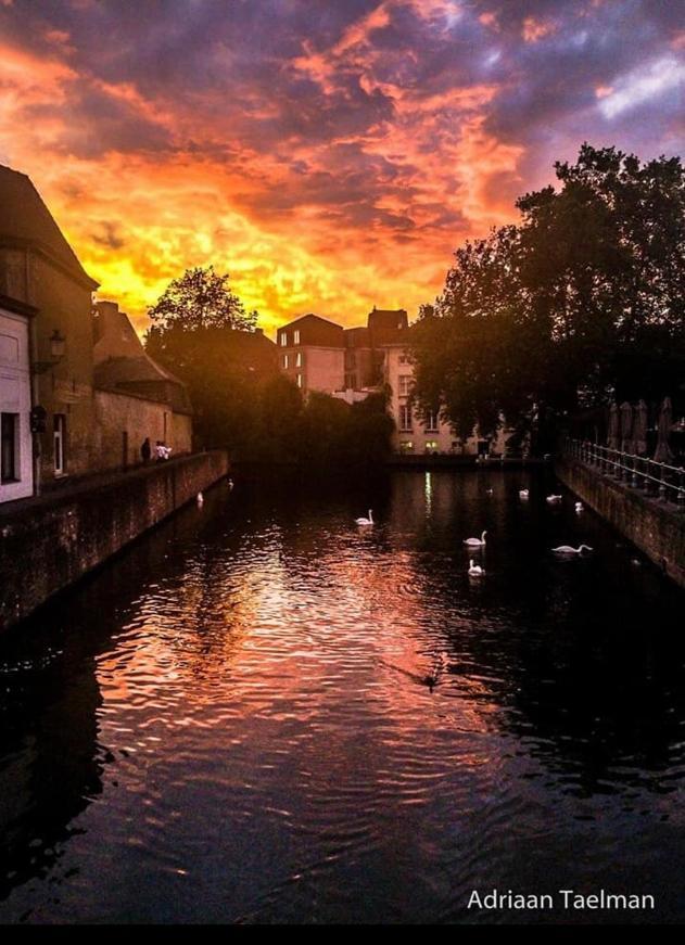 Canal Central Brugge Eksteriør billede